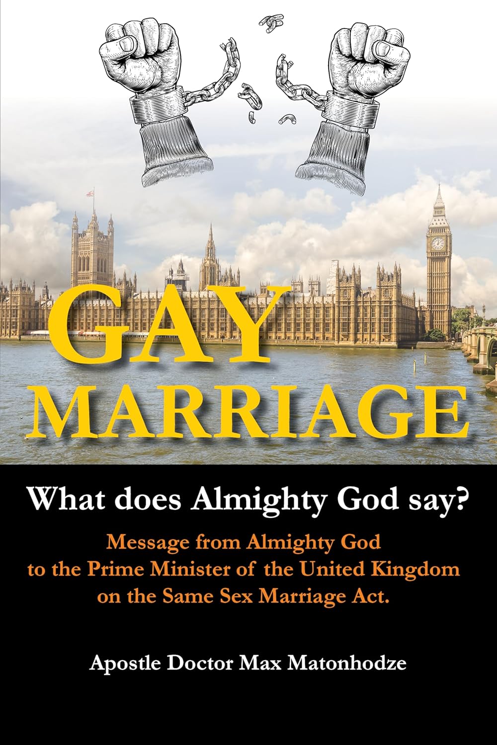 Gay Marriage Book Cover